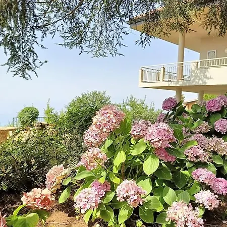 Casa Di Tota - Con Giardino Vista Mare Vibo Valentia